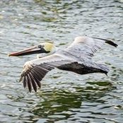 Barb Hays's photo