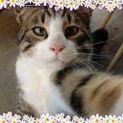 Foto von Kat Maloney