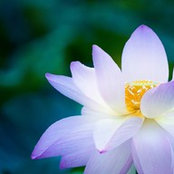 Marya's photo