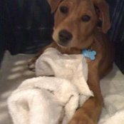 Laney Miller's photo