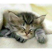 Cathy Leblanc's photo