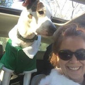 Jennifer Siegel's photo