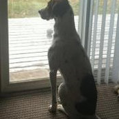 Marc Bushee's photo