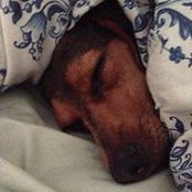 Nicole Guritz's photo