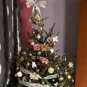 Anna Falcone's photo