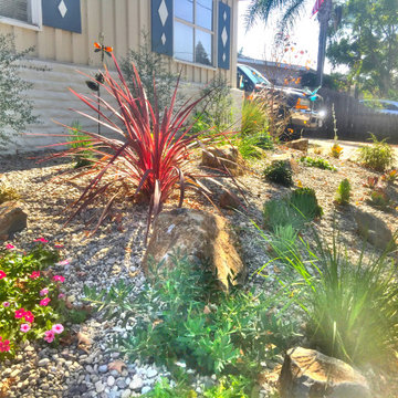 Serra Mesa Butterfly Garden
