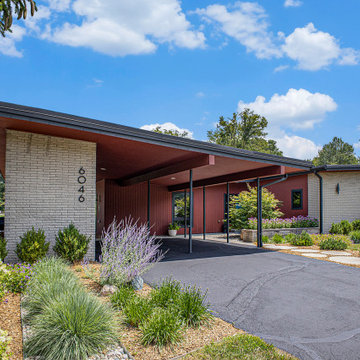 Mid-Century Modern Front Yard - East Lansing, MI