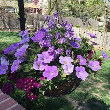Flower Pots, Hanging Baskets, and Window Boxes