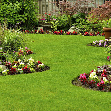 Bella Lawn Maintenance, LLC