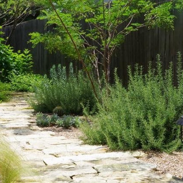 Rustic Path