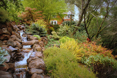Photo of a traditional landscaping in San Francisco.