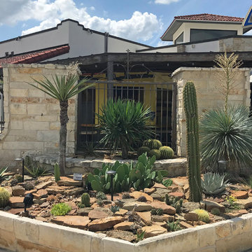 Miscellaneous Cacti & Succulent Landscapes by Rhinamic