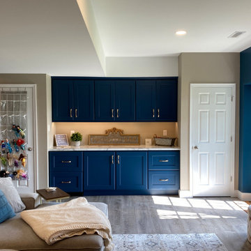 Basement Remodel