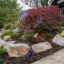 Landscape Ideas