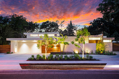 This is an example of a modern front yard landscaping in Tampa.