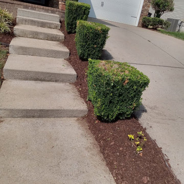 Our Work