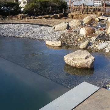 Natural Swimming Pool