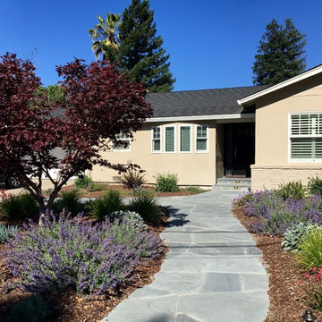 Los Altos No Lawn, Low Water