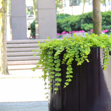 Flower pot