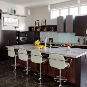 Contemporary Kitchens St.Petersburg, FL