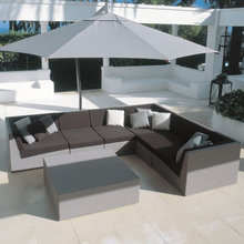 basset