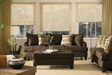 Example of a transitional living room design in Los Angeles