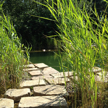 Naturschwimmteich fürs Familienglück in Langenberg