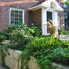 front yard