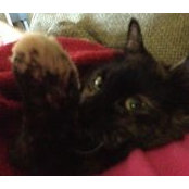 Leah Huff's photo