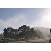 Janice Kimball's photo