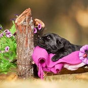 Foto von Rhonda Jackson