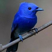 Rocio Schlaepfer's photo