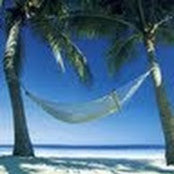Philippe Driesch's photo