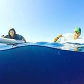 Mark Grinsel's photo