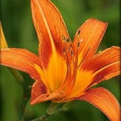 Leann Gump's photo