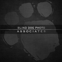 Blind Dog Photo Associates, LLC