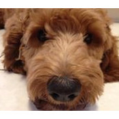 Claudia Therrien's photo