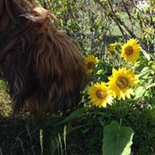 Tracy Mollenholt's photo