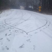 Amy Hoch's photo