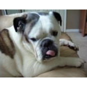 Cristin Cabala's photo