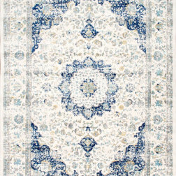 Traditional Area Rugs by nuLOOM