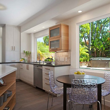 European Minimalism in Rancho Peñasquitos