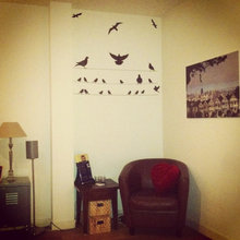 my houz