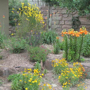 Landscape Design & Outdoor Living