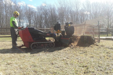 Design ideas for a traditional landscaping in Bridgeport.