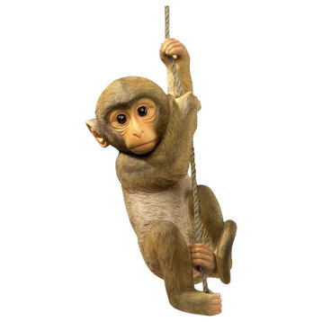 Chico the Chimpanzee Hanging Monkey