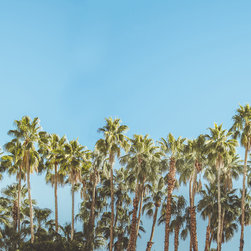 Riviera Daydream - Wallpaper