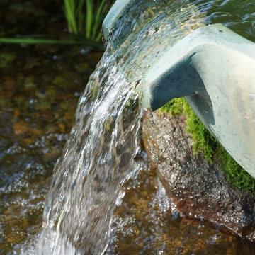 Section Line Pond