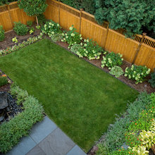 Dana Backyard