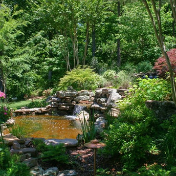 Water Garden